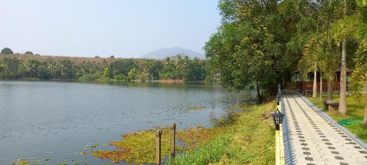 Sparrow Vale Resort Kotamangalam Esterno foto
