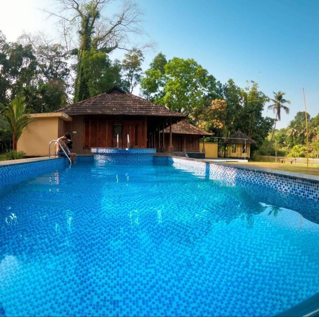 Sparrow Vale Resort Kotamangalam Esterno foto